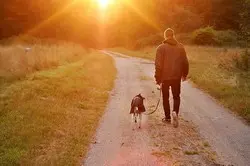 Chien adopté : Accueil, Education, Comportements