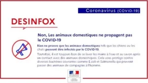 Le chien et le coronavirus