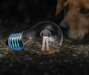 la-tête-d-un-chien-posée-à-terre-regarde-un-homme-debout-dans-une-ampoule-par-coach-canin-educateur-canin-en-charente-à-domicile