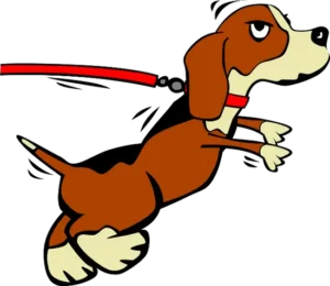 un-chien-dessiné-type-bd-marron-tire-sur-sa-laisse-rouge-par-coachcanin16-educateur-canin-à-domicile-cognac-angouleme-jarnac