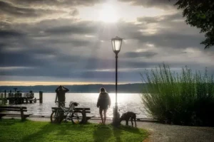 un-chien-et-sa-maîtresse-se-promènent-sur-un-chemin-qui-borde-la-mer-par-coachcanin-16-educateur-canin-en-charente-à-domicile