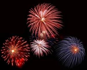 un-feu-d-artifice-provoque-souvent-la-peur-chez-le-chien-le-chiot-par-coach-canin-16-dresseur-chien-charente